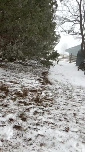 Sucking Cock Out In The Snow